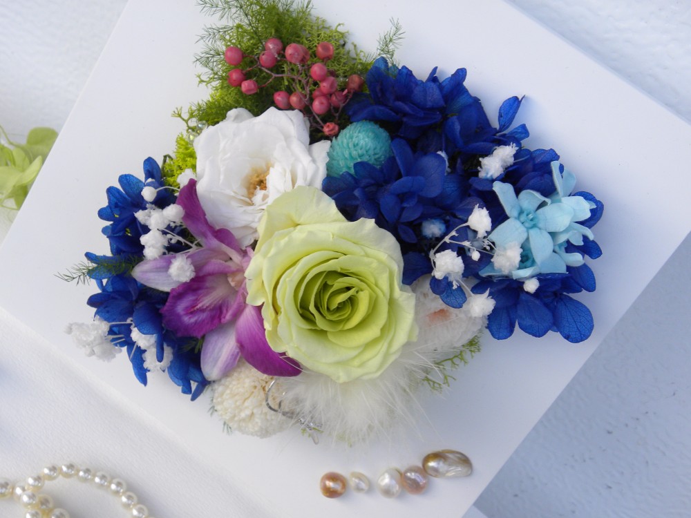 慈しみの心"aoi"