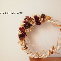 【Creema限定】キウイの蔓とドライナッツのクリスマスリース 4枚目の画像