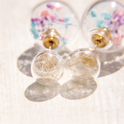 Glass earrings / 森林系 / 植物原味玻璃球耳環 - 粉色系滿天星+蒲公英森林 ( 耳針式 ) 第2張的照片