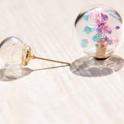 Glass earrings / 森林系 / 植物原味玻璃球耳環 - 粉色系滿天星+蒲公英森林 ( 耳針式 ) 第3張的照片