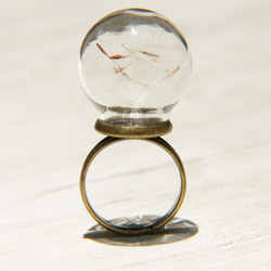 ガラスリングバレンタインデーの贈り物/森ガール/英語乾燥花透明なガラス玉のリング - 森タンポポの花のリング 3枚目の画像