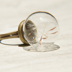 ガラスリングバレンタインデーの贈り物/森ガール/英語乾燥花透明なガラス玉のリング - 森タンポポの花のリング 6枚目の画像