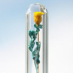 flower necklace 情人節禮物/ 森林女孩 / 英式乾燥花玻璃glass項鍊 - 黃色花朵 + 藍綠色藤蔓 第1張的照片
