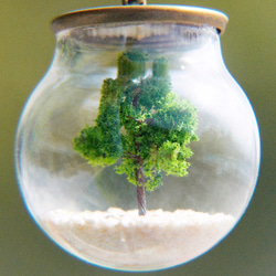 / 森林女孩 / 法式透明感玻璃球乾燥花項鍊 短鏈 長鏈 - 三毛的詩中樹 夢中的橄欖樹 glass necklace 第2張的照片