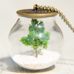 / 森林女孩 / 法式透明感玻璃球乾燥花項鍊 短鏈 長鏈 - 三毛的詩中樹 夢中的橄欖樹 glass necklace 第3張的照片