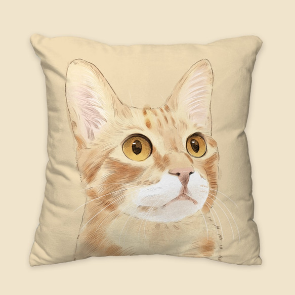 經典款橘貓抱枕 動物抱枕/枕頭/靠墊 第1張的照片