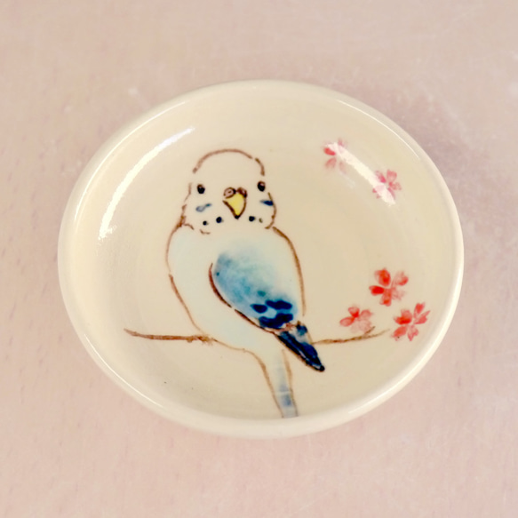 “櫻花和藍色虎皮鸚鵡”鳥豆盤子 第1張的照片