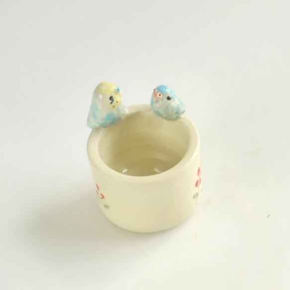 [供y-sama使用]彩虹虎皮鸚鵡和藍色鸚鵡郵票（小鳥陶器小包裝盒） 第1張的照片