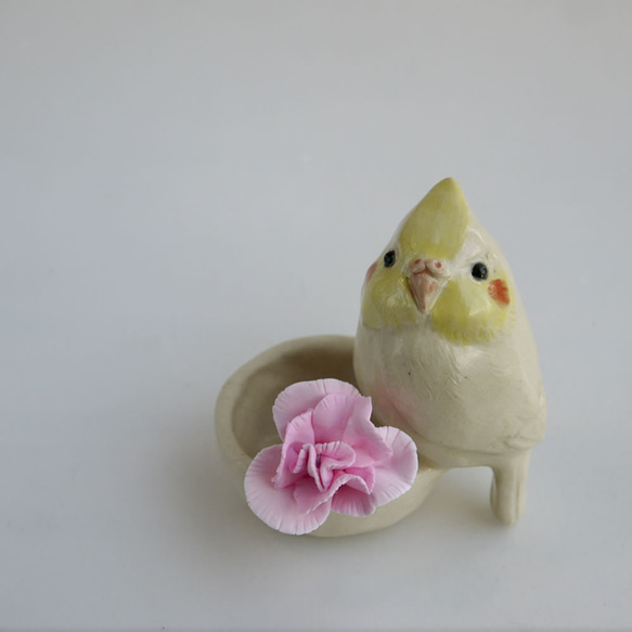 &lt;禮物&gt;康乃馨和小形鸚鵡（陶器鳥和花） 第1張的照片