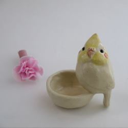 &lt;禮物&gt;康乃馨和小形鸚鵡（陶器鳥和花） 第3張的照片