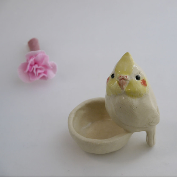 &lt;禮物&gt;康乃馨和小形鸚鵡（陶器鳥和花） 第5張的照片