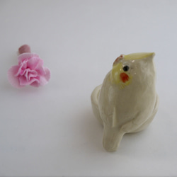 &lt;禮物&gt;康乃馨和小形鸚鵡（陶器鳥和花） 第6張的照片