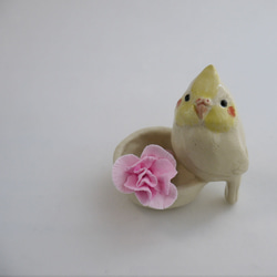&lt;禮物&gt;康乃馨和小形鸚鵡（陶器鳥和花） 第7張的照片