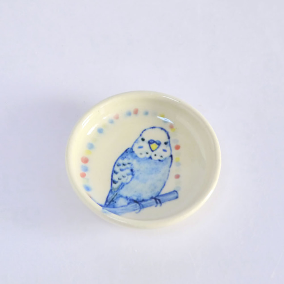 小鳥の豆皿「ブランコインコ」 4枚目の画像
