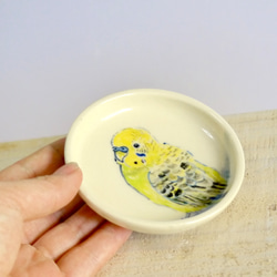 小鳥の豆皿「黄緑色のセキセイインコ」 2枚目の画像