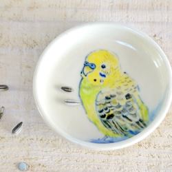 小鳥の豆皿「黄緑色のセキセイインコ」 3枚目の画像