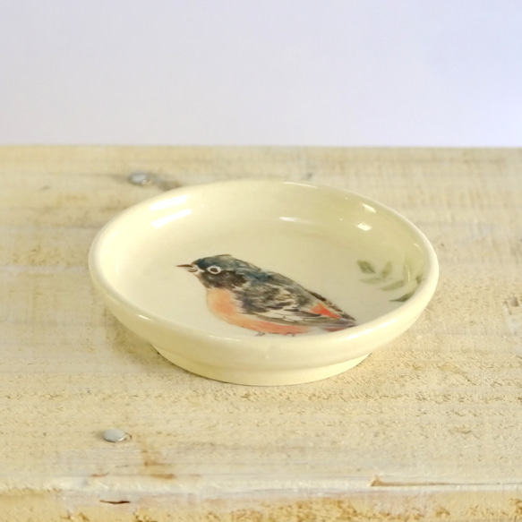 小鳥の豆皿「ジョウビタキ」 2枚目の画像