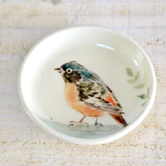 小鳥の豆皿「ジョウビタキ」 3枚目の画像