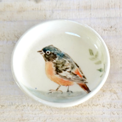小鳥の豆皿「ジョウビタキ」 5枚目の画像