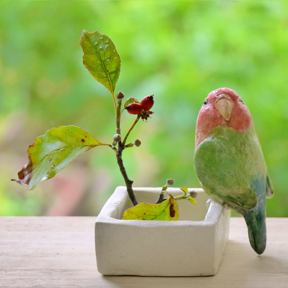 コザクラインコの四角い小物入れ（陶器の小鳥） 2枚目の画像