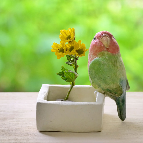 コザクラインコの四角い小物入れ（陶器の小鳥） 4枚目の画像