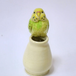 黃綠鸚鵡單輪刺（陶鳥物） 第3張的照片