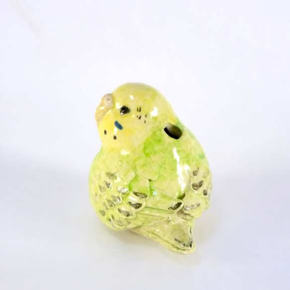 黃綠鸚鵡單輪刺（陶鳥） 第6張的照片