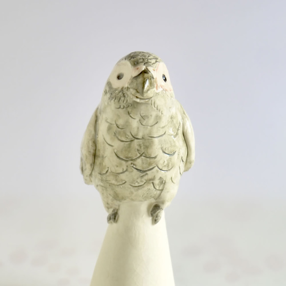 陶器のヨウム （小鳥の置物） 1枚目の画像