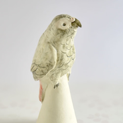 陶器のヨウム （小鳥の置物） 2枚目の画像