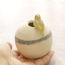黃虎皮鸚鵡圓形花瓶（小鳥對象） 第5張的照片