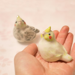 玄鳳鸚鵡鳥2組&lt;鳥袋&gt;陶器 第3張的照片