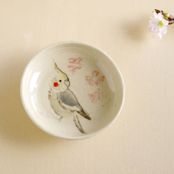 小鳥の豆皿『桜とオカメインコ』 1枚目の画像