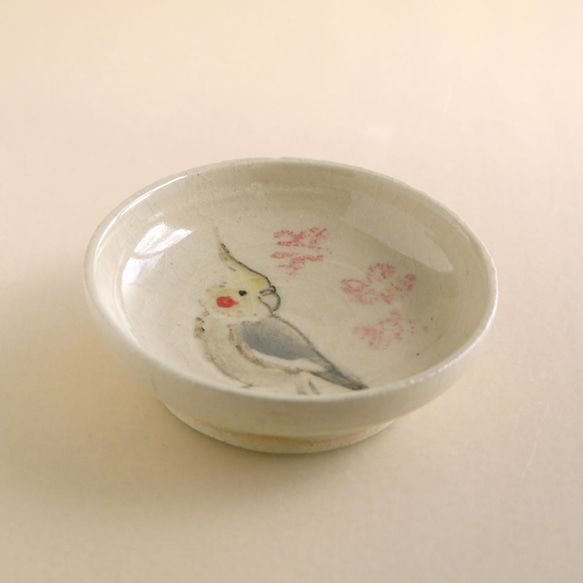 小鳥の豆皿『桜とオカメインコ』 3枚目の画像