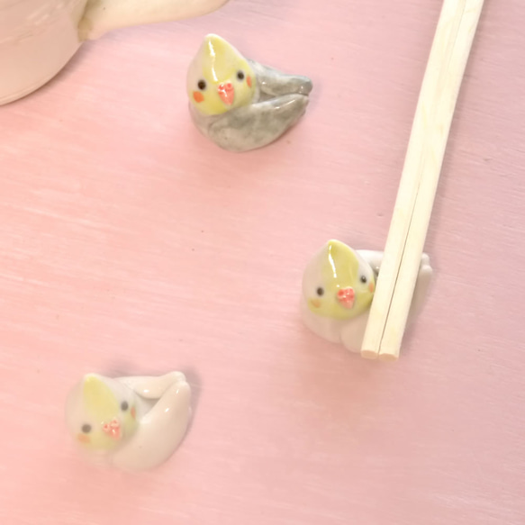 兩隻小雞用筷子休息的玄鳳鸚鵡（一小塊陶器旁邊） 第2張的照片