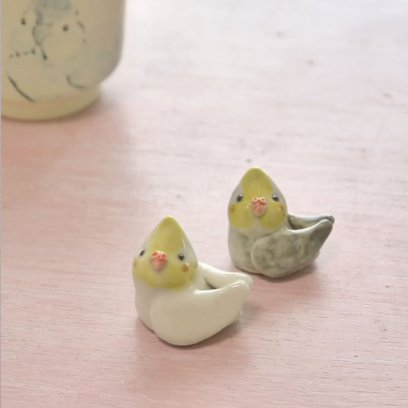 兩隻小雞用筷子休息的玄鳳鸚鵡（一小塊陶器旁邊） 第6張的照片