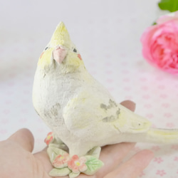 オカメインコ（小鳥の陶器の置物） 3枚目の画像