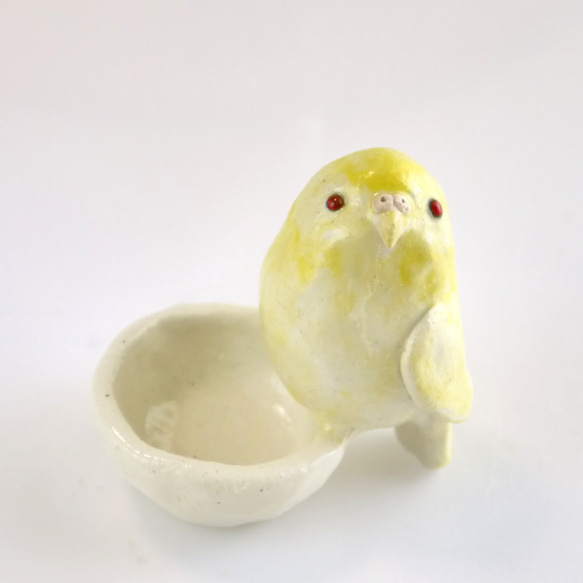 【c様専用】セキセイインコ（ルチノー黄色＋赤目）陶器の小物入れ 1枚目の画像