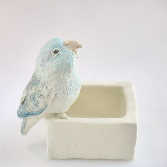 水色の小鳥マメルリハの四角い小物入れ（小鳥の陶器の置物） その他