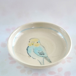小鳥の豆皿『レインボー色のセキセインコ』 2枚目の画像