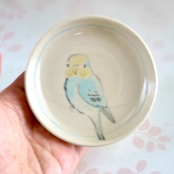 小鳥の豆皿『レインボー色のセキセインコ』 3枚目の画像