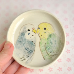 【vさま専用】小鳥の豆皿2枚『セキセインコ&マメルリハ』 3枚目の画像
