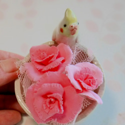 &lt;母親節&gt;康乃馨安排小鸚鵡（陶器小鳥） 第3張的照片