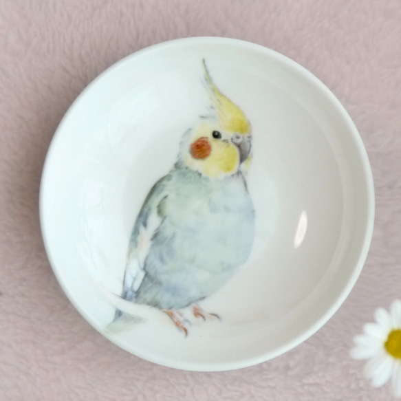 手書きの小鳥のお皿　オカメインコ 1枚目の画像