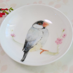 手書きの小鳥のお皿　桜文鳥 1枚目の画像