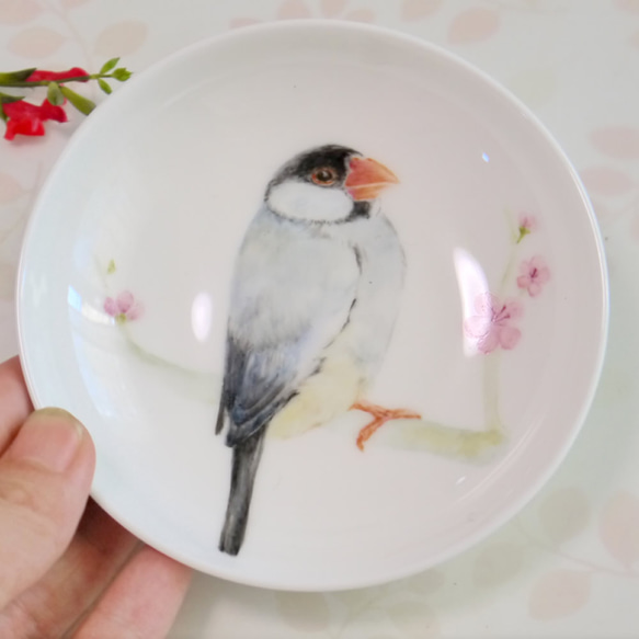 手書きの小鳥のお皿　桜文鳥 3枚目の画像