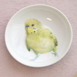 手書きの小鳥のお皿　黄緑色のセキセイインコ 2枚目の画像