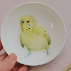 手書きの小鳥のお皿　黄緑色のセキセイインコ 3枚目の画像