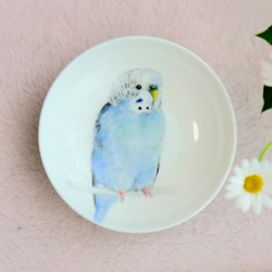手書きの小鳥のお皿　水色のセキセイインコ 1枚目の画像