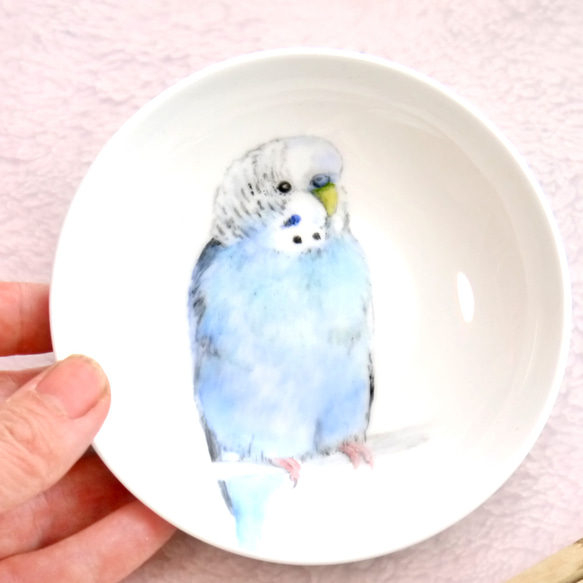 手書きの小鳥のお皿　水色のセキセイインコ 2枚目の画像