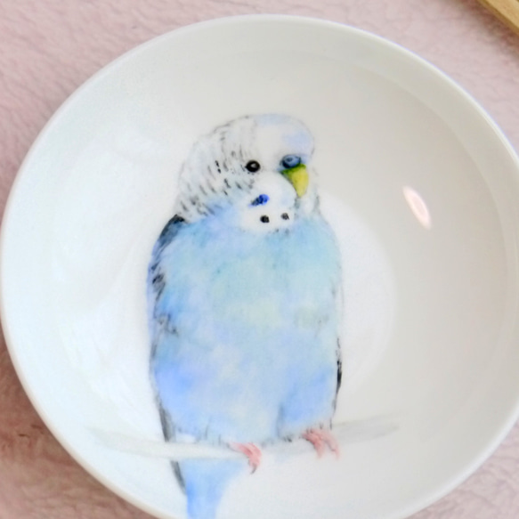 手寫的鳥的菜淡藍色的性感鸚鵡 第3張的照片